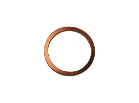 Оригинальное уплотнительное кольцо (Sealing Ring) OEM MWM 01102146 (XBAZA)