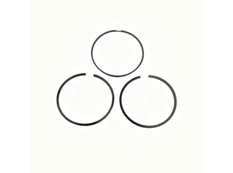 Оригинальный комплект поршневых колец (Set of Piston Rings) OEM XBAZA 12213242 для двигателей TBG 616 / TCG 2016