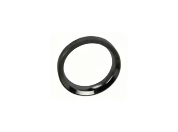 Оригинальное седло клапана (Valve Seat Insert) OEM MWM 12319866 для двигателей TCG 2016