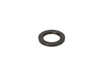 Оригинальная плоская шайба (Plain Washer) OEM MWM 12420649 для двигателей TCG 2020