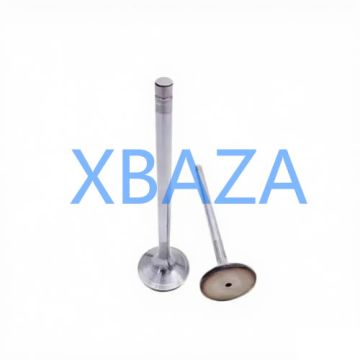 Впускной клапан MWM 12304754 для газового двигателя TBG620 TCG2020