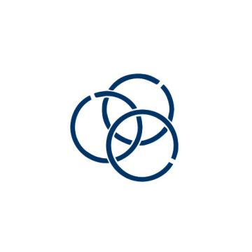 Комплект поршневых колец KS 80 00325 1 0 000