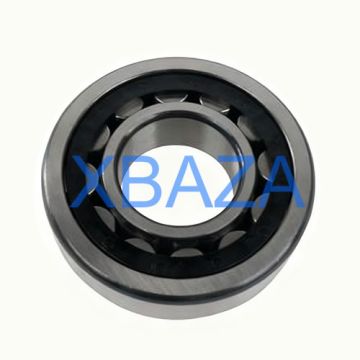 Цилиндрический роликовый подшипник Jenbacher 100423 оригинальный