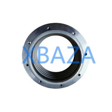 Компенсатор 12453254 для газового двигателя MWM TCG2020