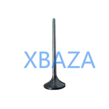 Впускной клапан 12454247 для двигателей MWM TCG 2020