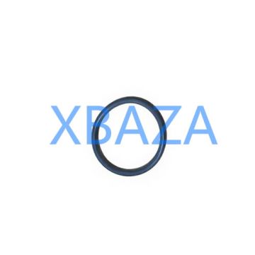 Уплотнительное кольцо MWM 01171113 для газового двигателя MWM TCG2020