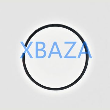 8N-1234: ПРОМЕЖУТОЧНОЕ ПОРШНЕВОЕ КОЛЬЦО ВНУТРЕННЕГО ДИАМЕТРА 157,2 ММ