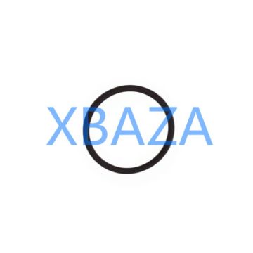 Уплотнительное кольцо 100829 для газового двигателя Jenbacher