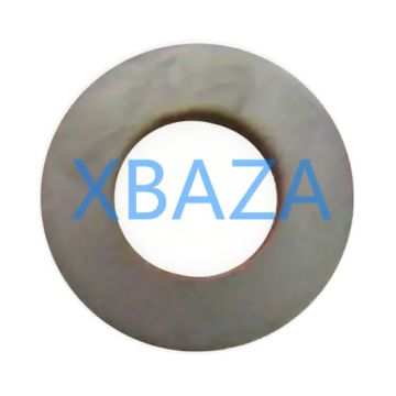 Шайба 102162 для газового двигателя Jenbacher J420